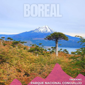 abril 17 al 19 | seguro de accidentes personales trekking conguillÍo