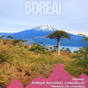 abril 17 al 19 | trekking otoÑal parque nacional conguillÍo | mirador los cÓndores