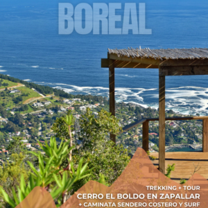 abril 11 | trekking y tour cerro el boldo + sendero costero